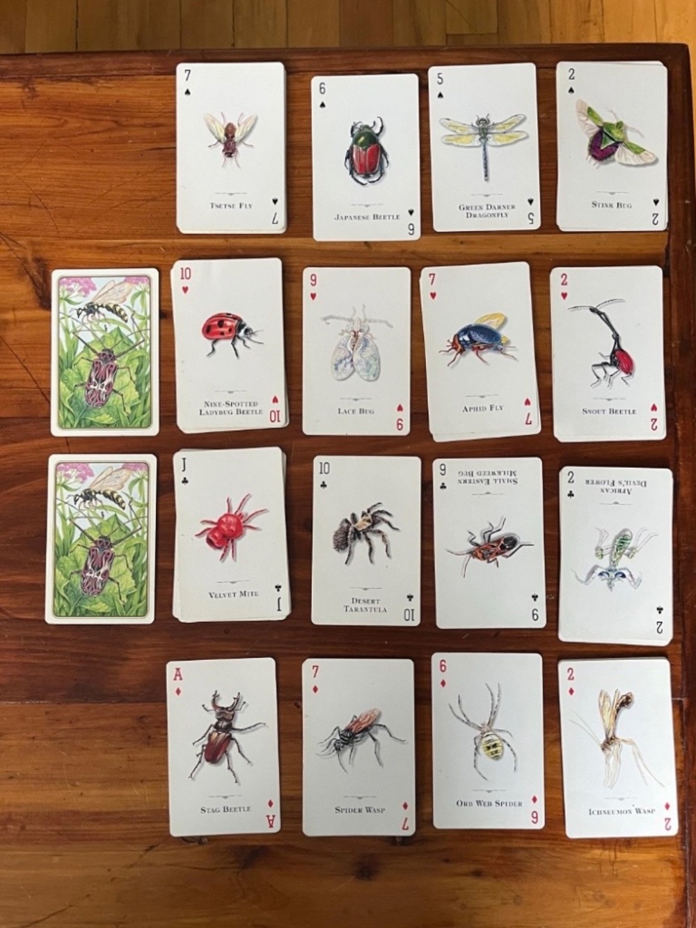Y2K Playing Cards with Insect Designs - Picture 3 of 3